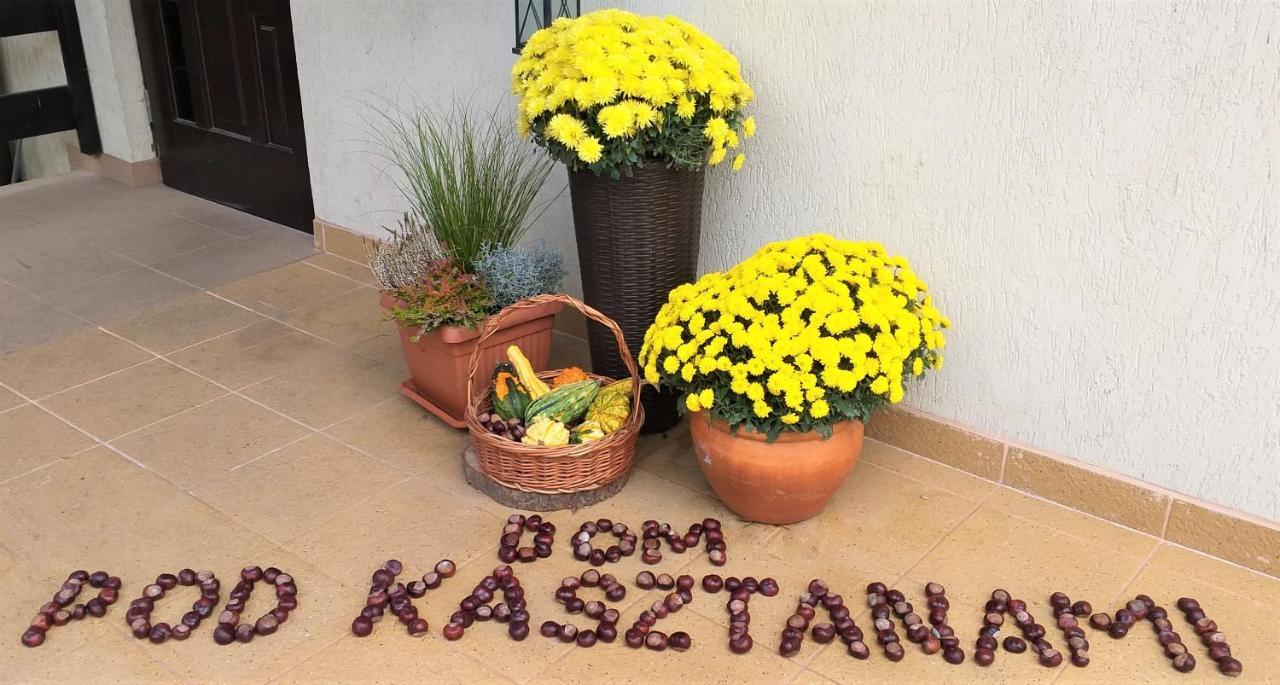 Dom Pod Kasztanami Διαμέρισμα Kazimierz Dolny Εξωτερικό φωτογραφία